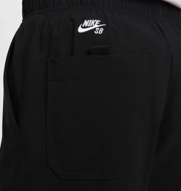 Брюки Nike SB U Dri-Fit Kearny (FV7347-010)