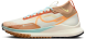 Кроссовки мужские Nike React Pegasus Trail 4 Gore-Tex (FN8886-181)