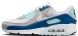 Кросівки Nike Air Max 90 (FN6958-001)