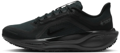 Мужские кроссовки Nike Air Zoom Pegasus 41 Gore-Tex (FQ1356-001)
