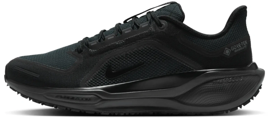 Мужские кроссовки Nike Air Zoom Pegasus 41 Gore-Tex (FQ1356-001)