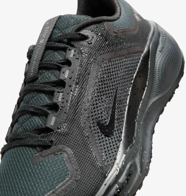 Мужские кроссовки Nike Air Zoom Pegasus 41 Gore-Tex (FQ1356-001)