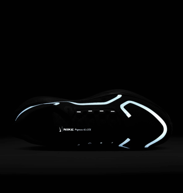 Мужские кроссовки Nike Air Zoom Pegasus 41 Gore-Tex (FQ1356-001)