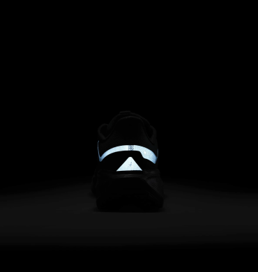 Мужские кроссовки Nike Air Zoom Pegasus 41 Gore-Tex (FQ1356-001)