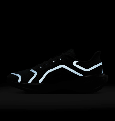 Мужские кроссовки Nike Air Zoom Pegasus 41 Gore-Tex (FQ1356-001)