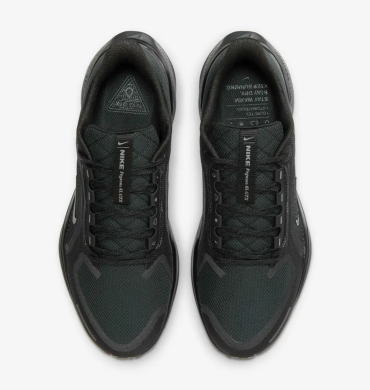 Мужские кроссовки Nike Air Zoom Pegasus 41 Gore-Tex (FQ1356-001)