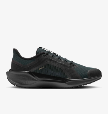 Мужские кроссовки Nike Air Zoom Pegasus 41 Gore-Tex (FQ1356-001)