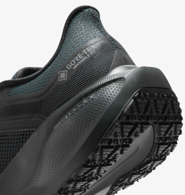 Мужские кроссовки Nike Air Zoom Pegasus 41 Gore-Tex (FQ1356-001)