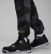 Штани чоловічі Air Jordan Essentials (FD7455-070), L