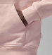 Худі Air Jordan Wordmark Fleece (FZ3952-601)