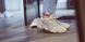 Кроссовки adidas Yeezy Desert Rat 500 "Blush", EUR 43