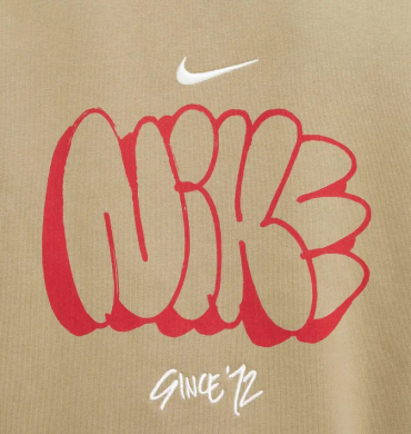 Худи мужское Nike Solo Swoosh Fleece (HQ4181-276)