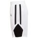 Мужские шорты Nike Mj Bsk Stock Short Tm (AR4321-106), XXL