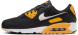Кроссовки мужские Nike Air Max 90 (FN6958-002), EUR 41