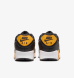 Кроссовки мужские Nike Air Max 90 (FN6958-002), EUR 41