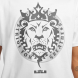 Мужская футболка Nike LeBron Max90 Tee (HJ3341-100), S
