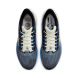 Кросівки чоловічі Nike Air Zoom Pegasus 39 Premium (DO9580-400)