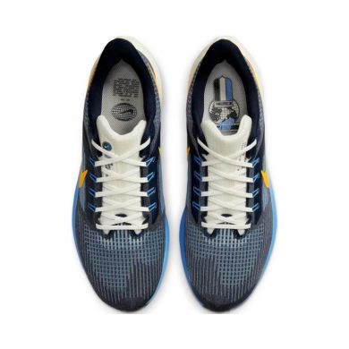 Кросівки чоловічі Nike Air Zoom Pegasus 39 Premium (DO9580-400)