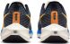 Кросівки чоловічі Nike Air Zoom Pegasus 39 Premium (DO9580-400)