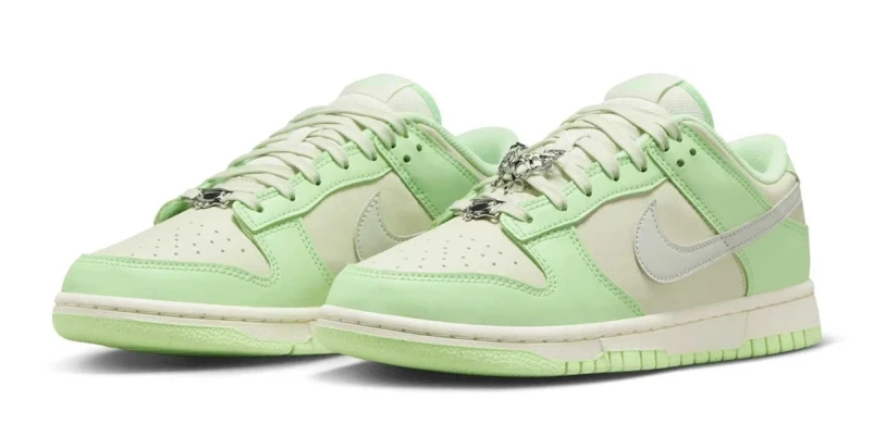 Кроссовки Женские Nike Dunk Low Nn Se (FN6344-001), EUR 38