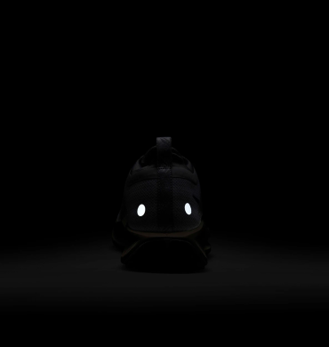 Чоловічі кросівки Nike Pegasus Trail 5 GTX (FQ0908-006), EUR 45,5