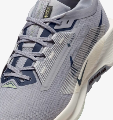 Чоловічі кросівки Nike Pegasus Trail 5 GTX (FQ0908-006), EUR 45,5