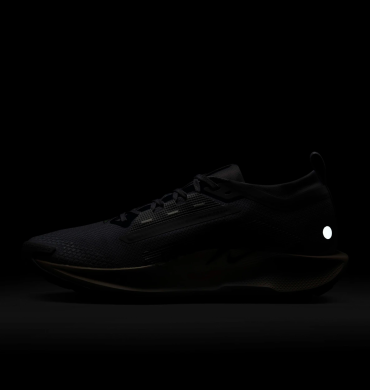 Чоловічі кросівки Nike Pegasus Trail 5 GTX (FQ0908-006), EUR 45,5