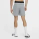 Чоловічі шорти Nike M Np Flex Rep Short 2.0 Npc (CU4991-073), M