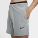 Чоловічі шорти Nike M Np Flex Rep Short 2.0 Npc (CU4991-073), S