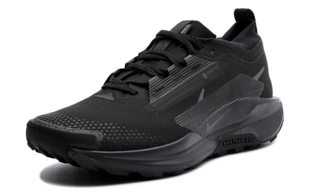 Кросівки чоловічі Nike Pegasus Trail 5 Gore-Tex (FQ0908-002), EUR 42