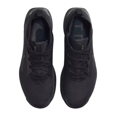 Кросівки чоловічі Nike Pegasus Trail 5 Gore-Tex (FQ0908-002), EUR 42,5