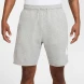Шорти чоловічі Nike Club Men's French Terry Alumni Shorts (FQ4950-063), L