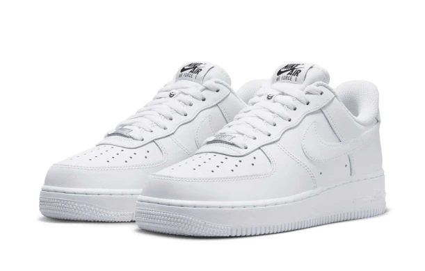 Кросівки Жіночі Nike Air Force 1 07 Flyease (DX5883-100)