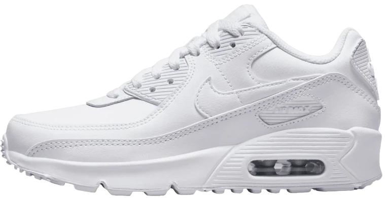 Підліткові кросівки Nike Air Max 90 Ltr (gs) (CD6864-100)