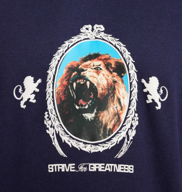 Худи мужское Nike Lebron Fleece (FB7123-555), S