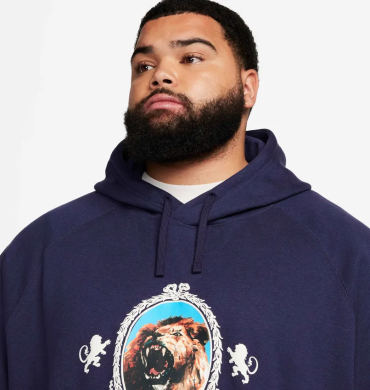 Худи мужское Nike Lebron Fleece (FB7123-555), S