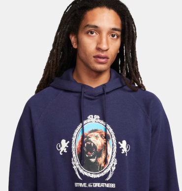 Худи мужское Nike Lebron Fleece (FB7123-555), S