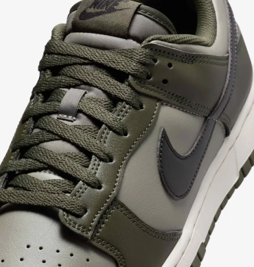 Кроссовки мужские Nike Dunk Low Retro (HF5441-300), EUR 43