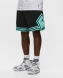 Шорты Jordan M J Df Sprt Wvn Dmnd Short (FB7580-010), M