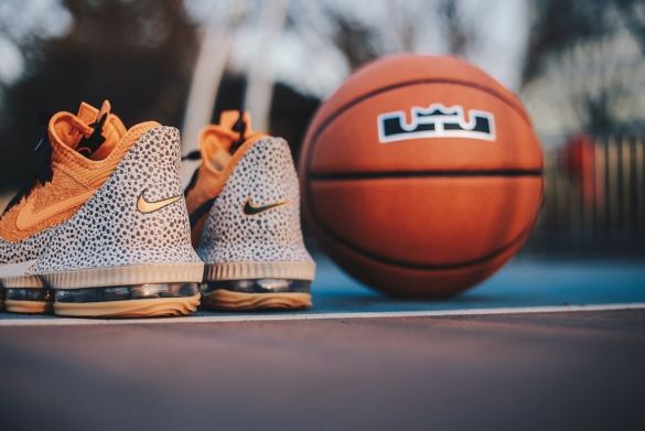 Баскетбольні кросівки Nike LeBron 16 Low 'Safari', EUR 41