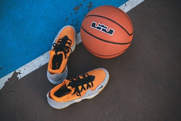Баскетбольні кросівки Nike LeBron 16 Low 'Safari', EUR 42