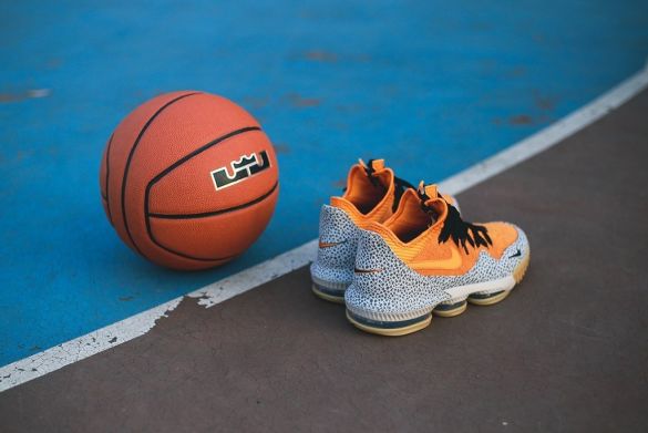 Баскетбольні кросівки Nike LeBron 16 Low 'Safari', EUR 43