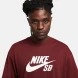 Футболка Nike SB Logo HBR (CV7539-619), XL