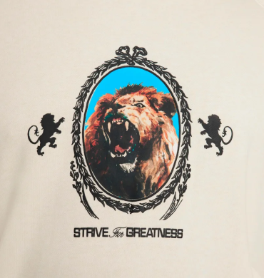 Худи мужское Nike LeBron Fleece (FB7123-027)