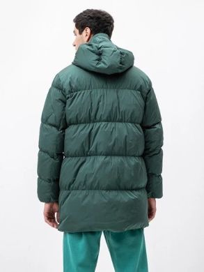 Чоловіча куртка NIKE M J ESS STMT PARKA (DA9804-333)