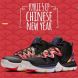 Баскетбольні кросівки Nike Kyrie 5 EP V Irving CNY "Chinese New Year", EUR 43