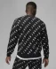 Кофта Чоловічі Jordan Graphic Fleece Crew-Neck Sweatshirt (DX9173-010)