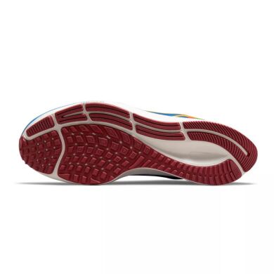 Чоловічі кросівки Nike Air Zoom Pegasus 38 Jm (DO7763-400), EUR 38