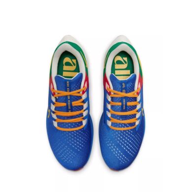 Чоловічі кросівки Nike Air Zoom Pegasus 38 Jm (DO7763-400), EUR 38