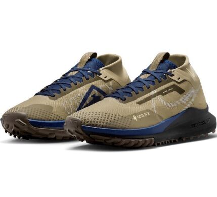 Мужские кроссовки Nike Pegasus Trail 4 GORE-TEX (FD5841-200), EUR 45